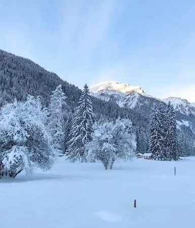 Mansarda Dell'orso Apartman